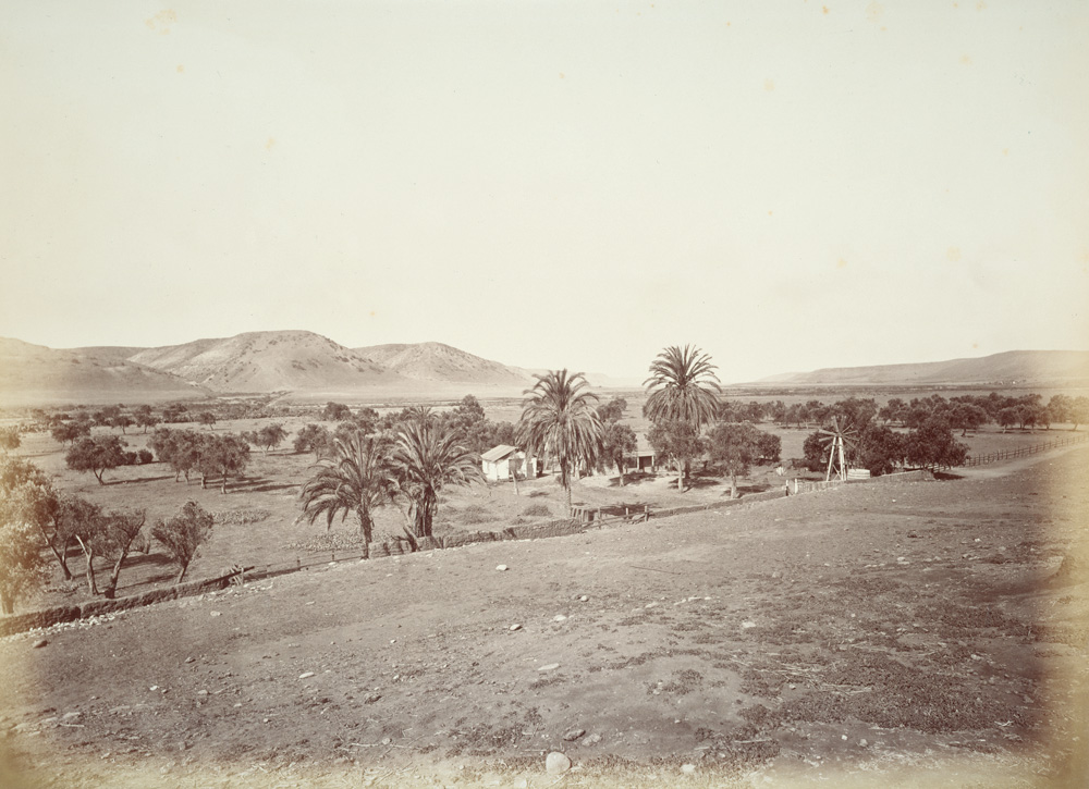 17. Dates and olives from the Mission San Diego.jpg