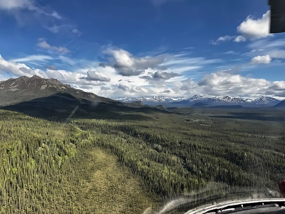 Denali