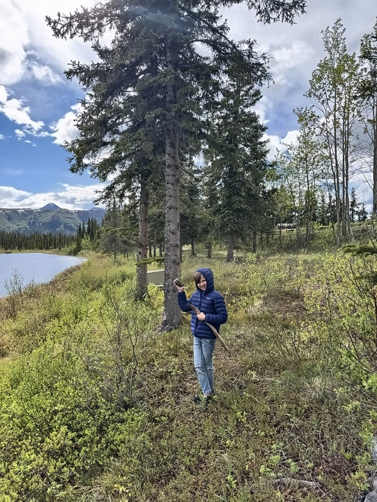 Denali