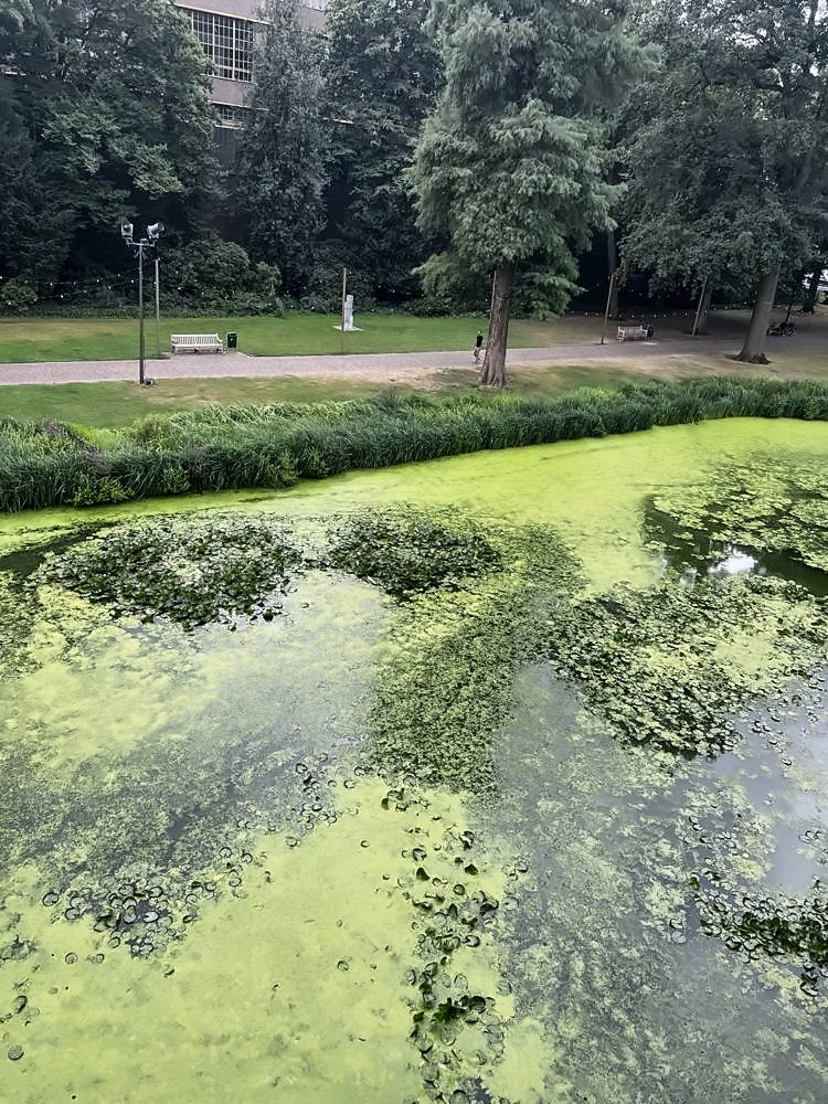 Kasteel Helmond — my photo 45