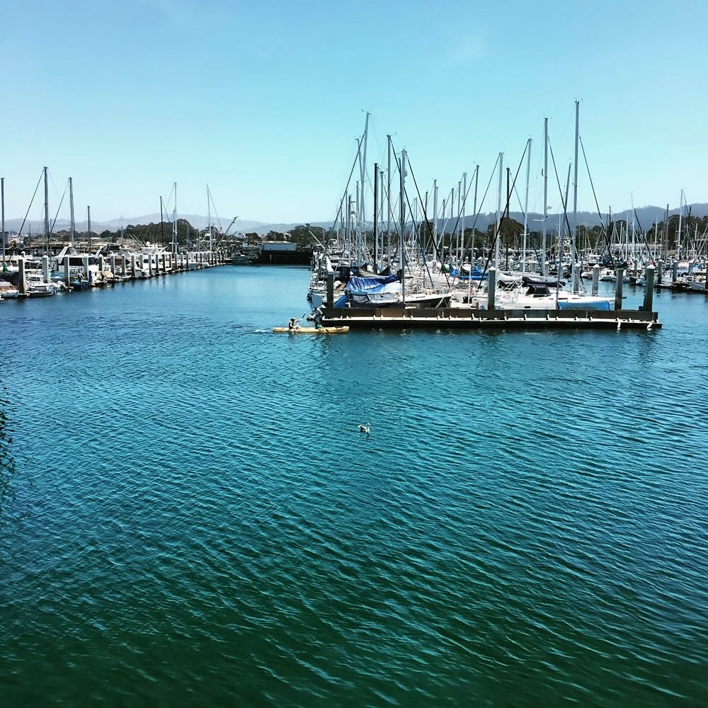 Monterey