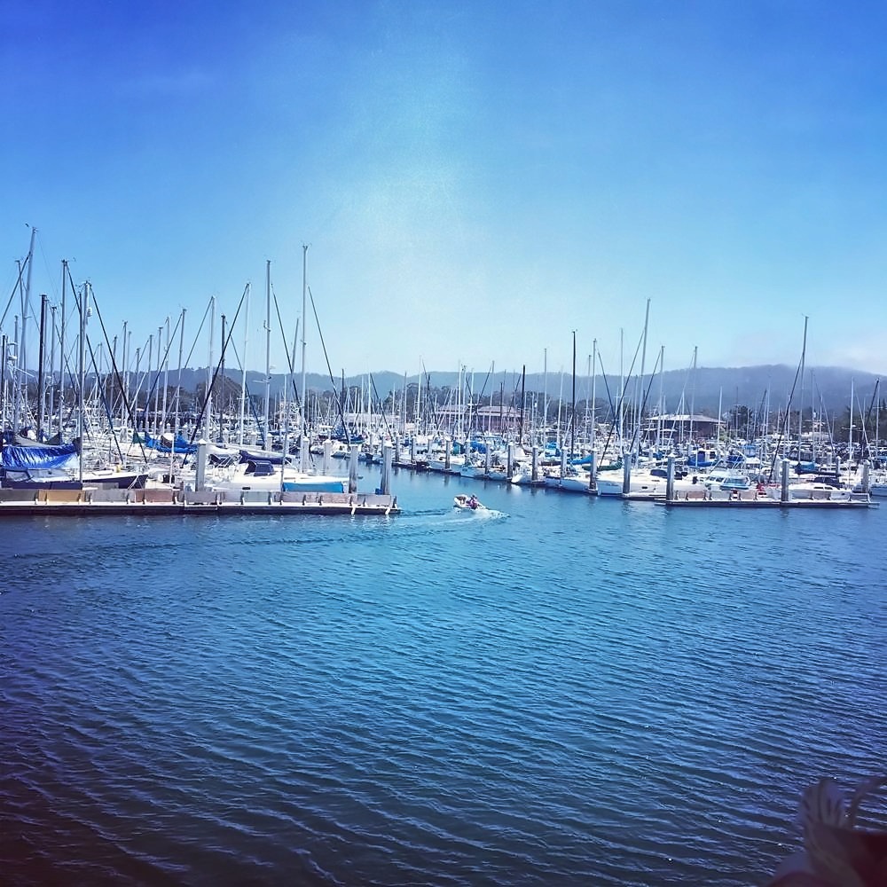 Monterey