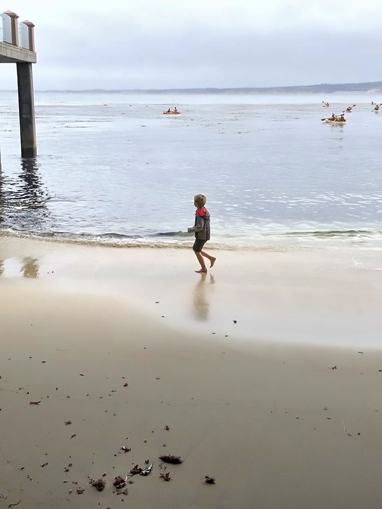 Monterey