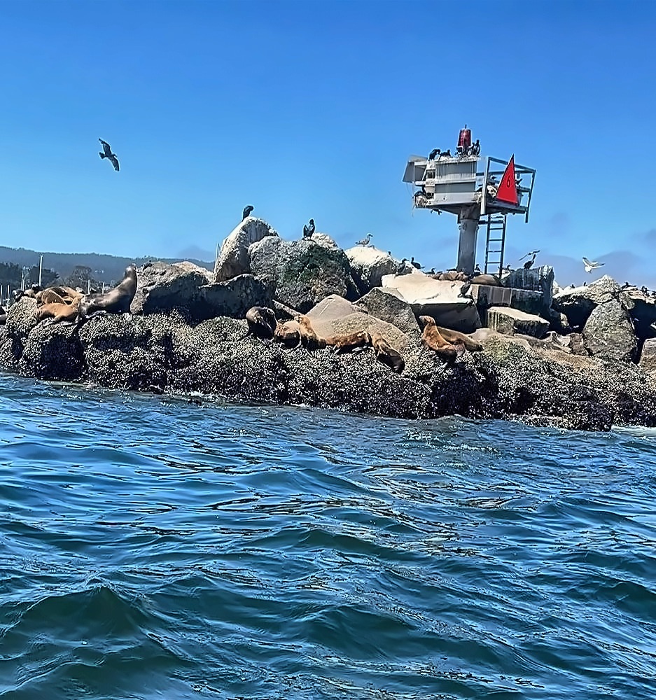 Monterey