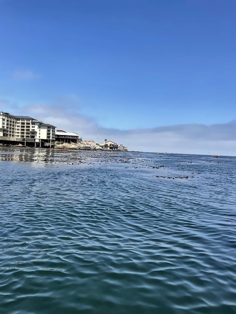 Monterey