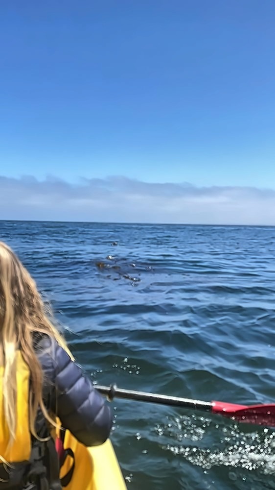 Monterey