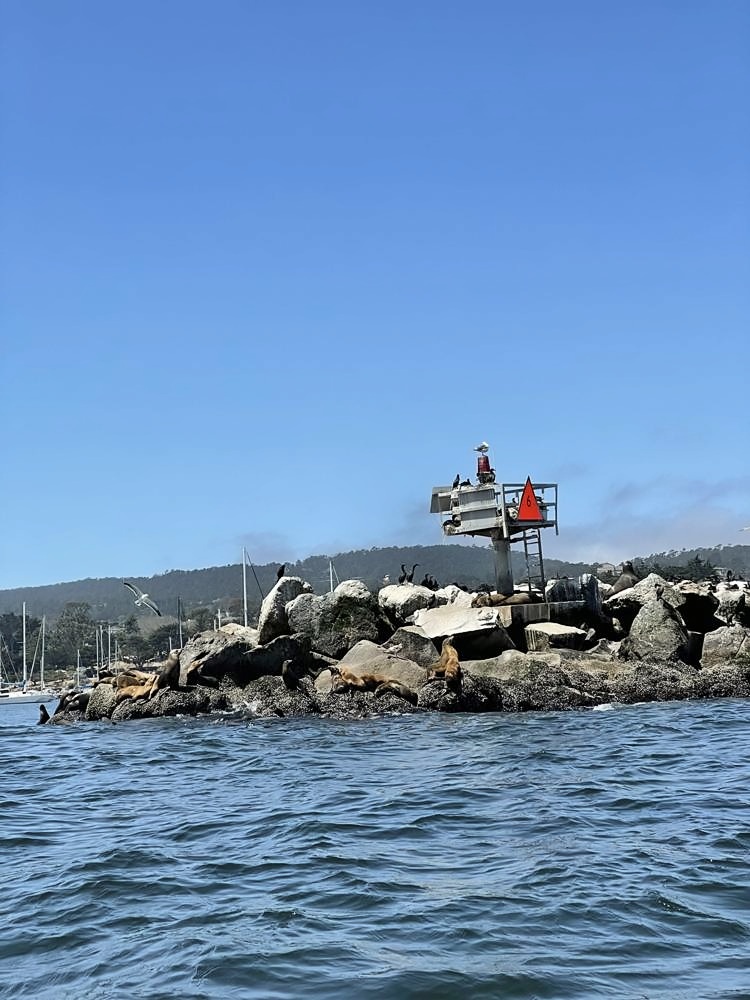 Monterey
