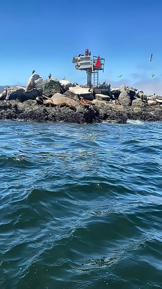 Monterey