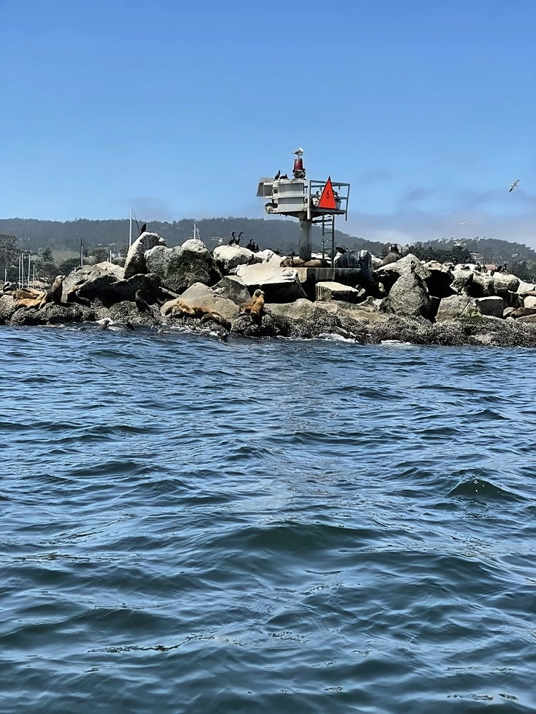 Monterey