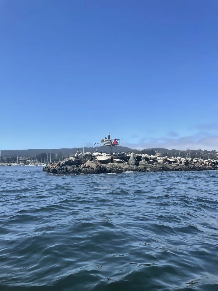 Monterey