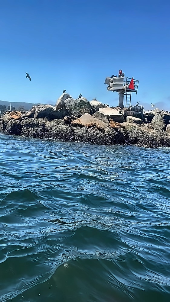 Monterey