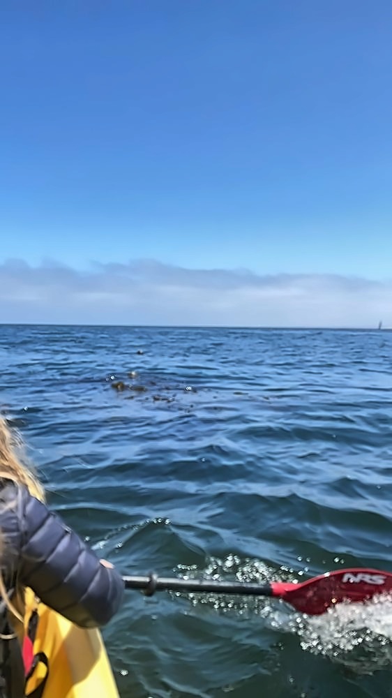 Monterey