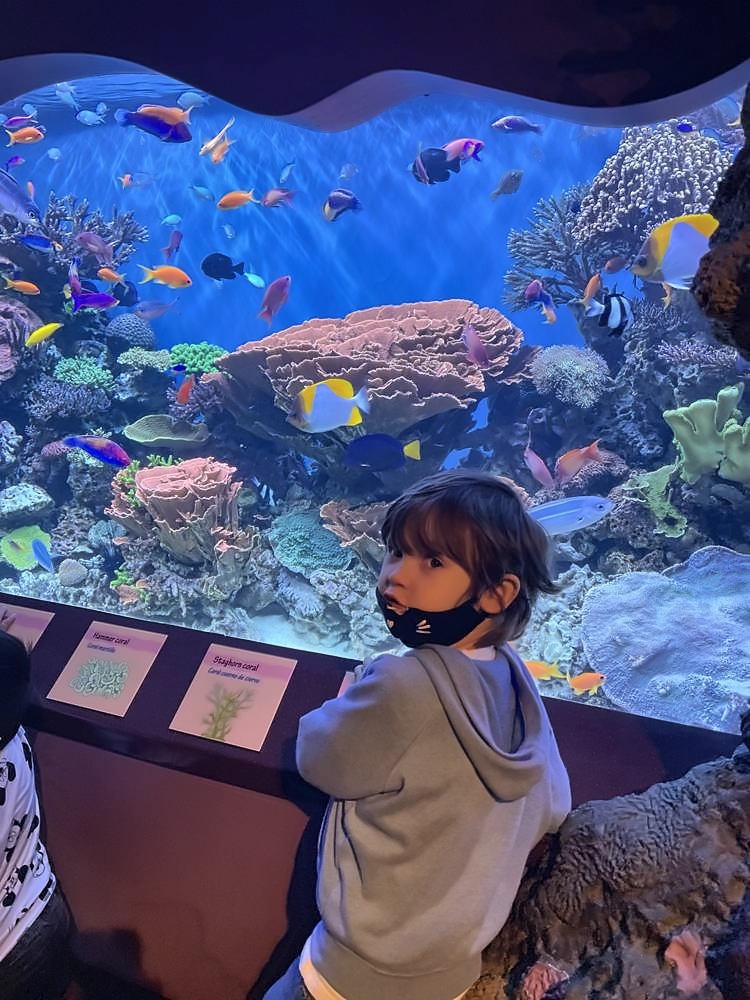 Monterey
