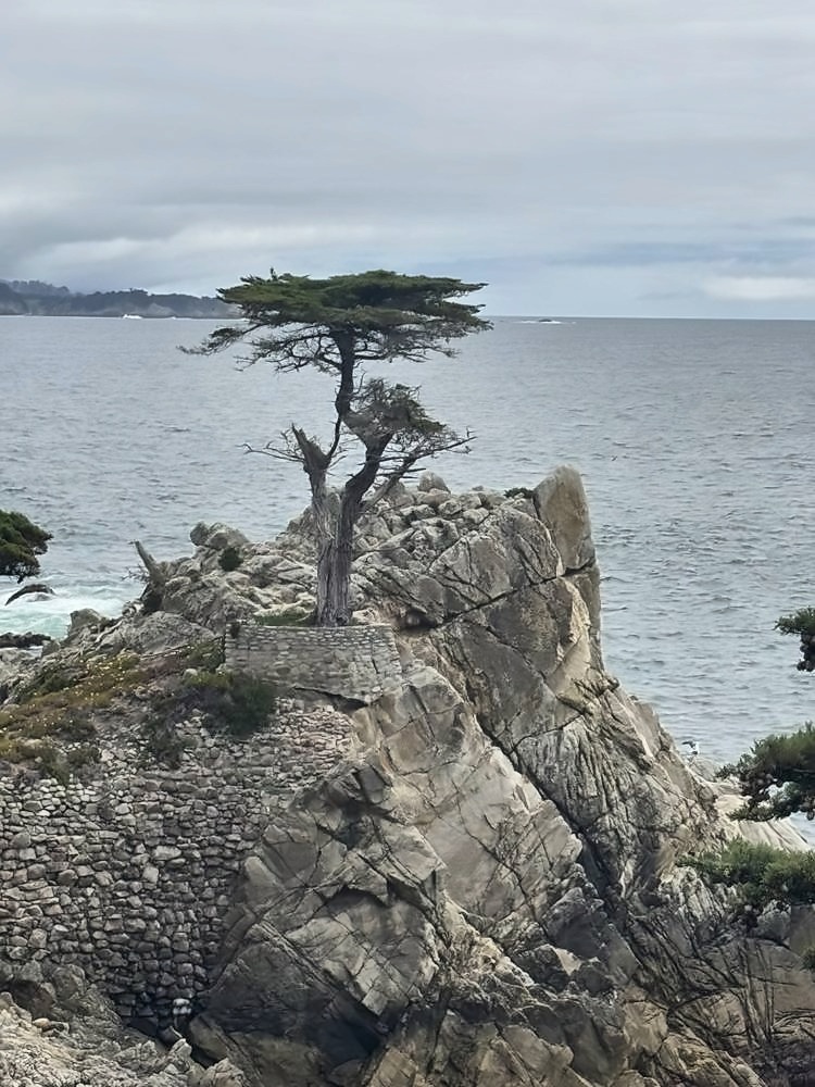 Carmel