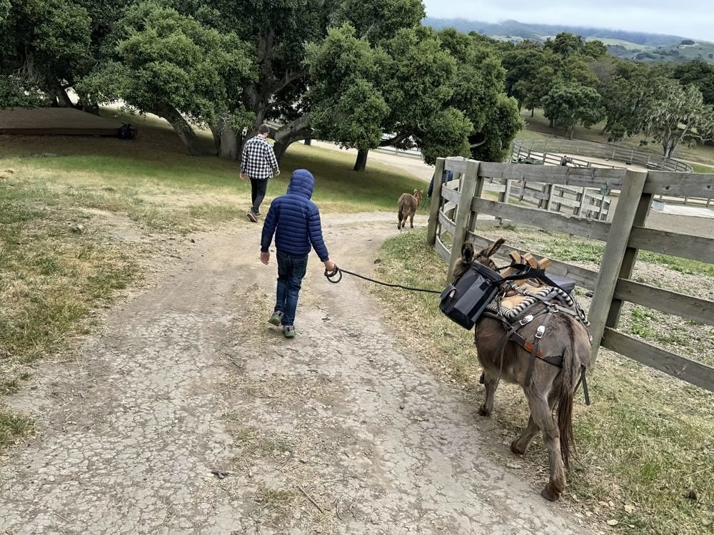 Carmel