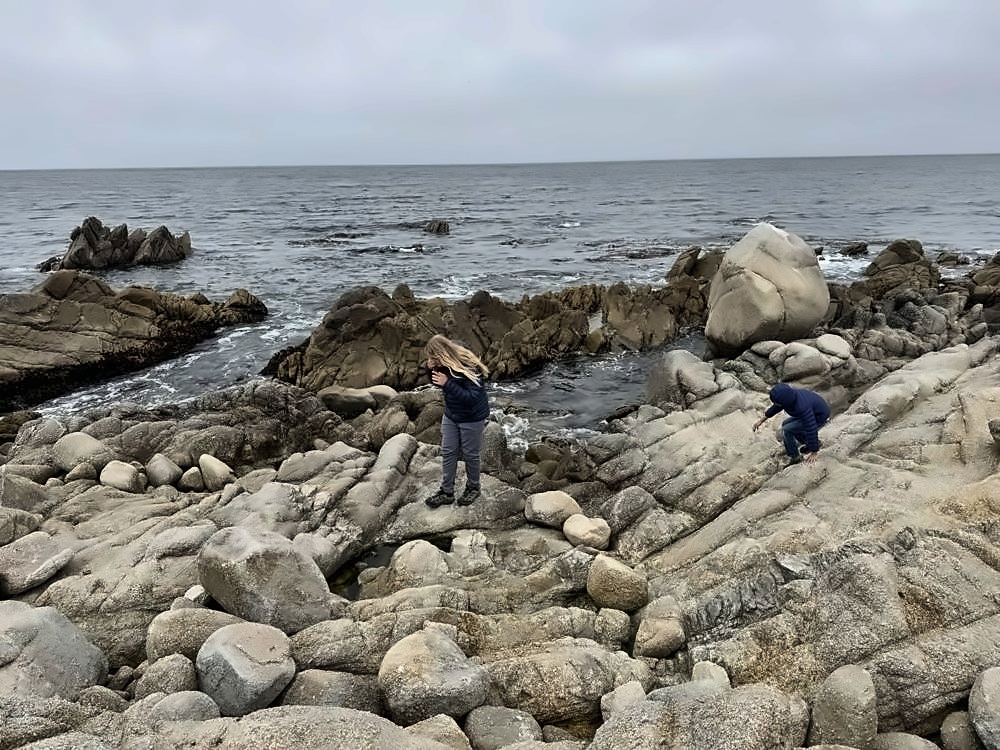 Monterey