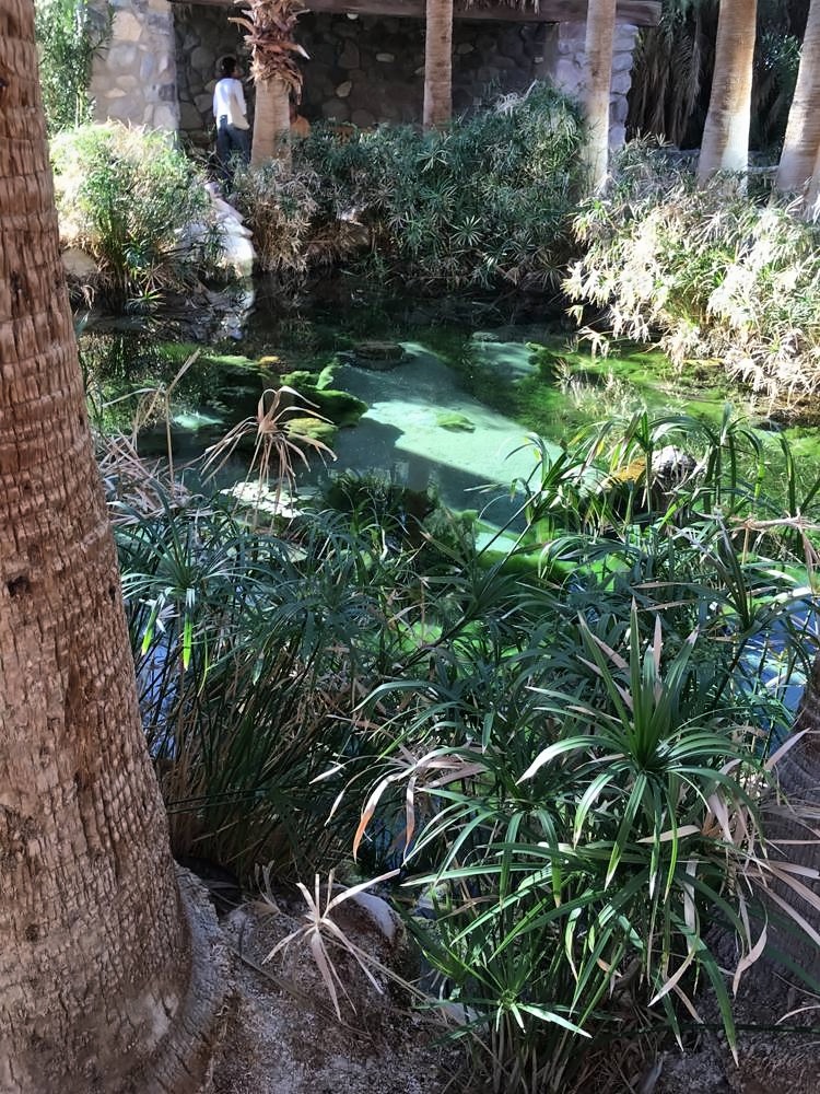 Furnace Creek