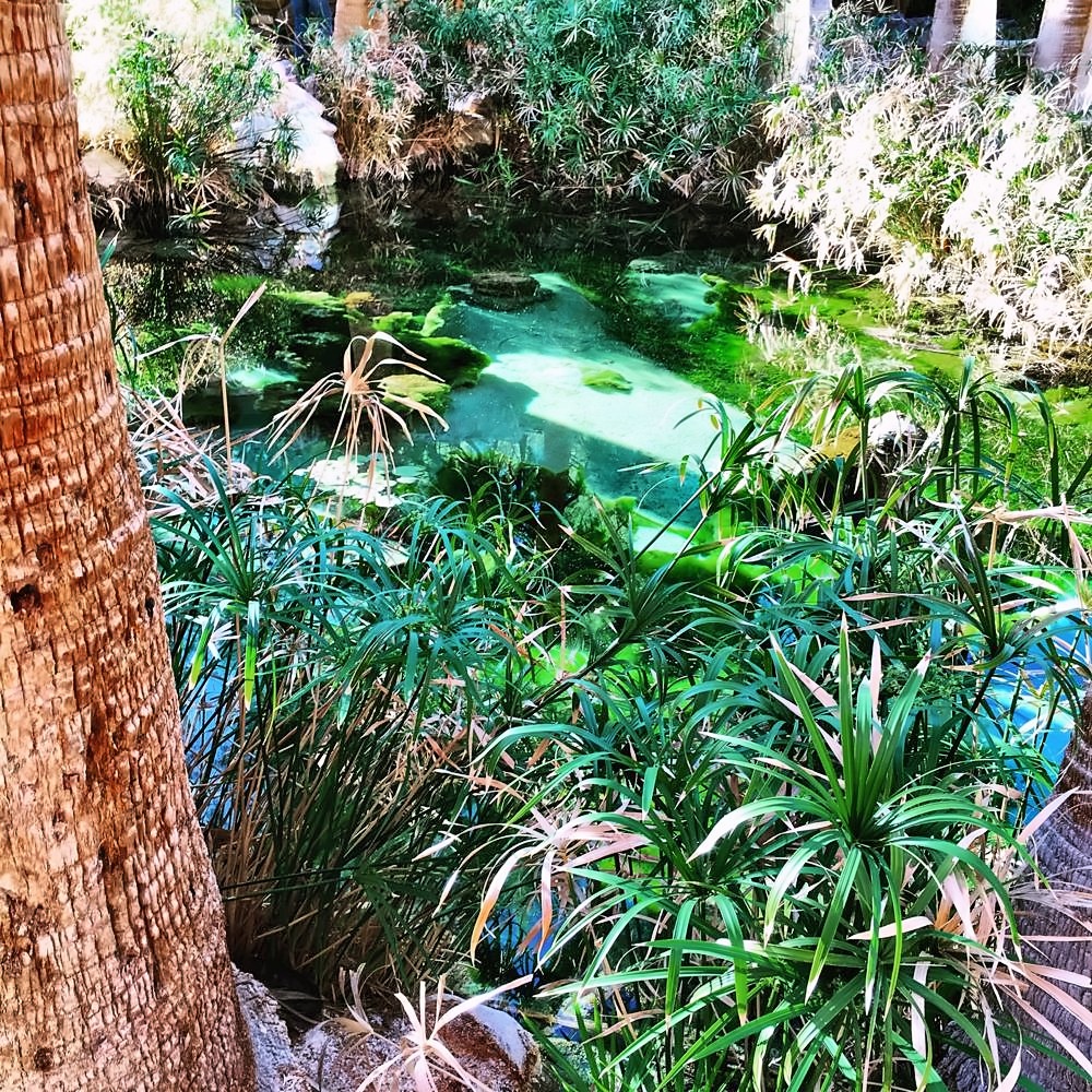 Furnace Creek