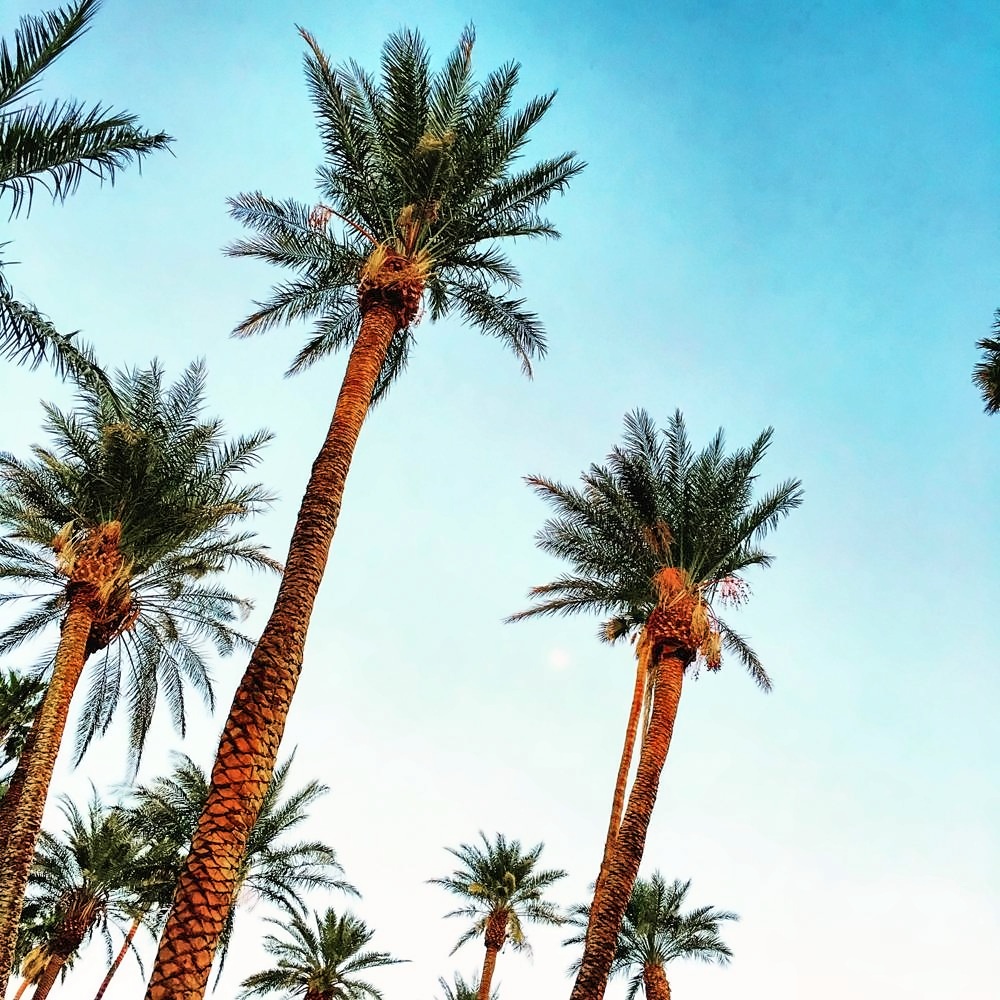 Furnace Creek