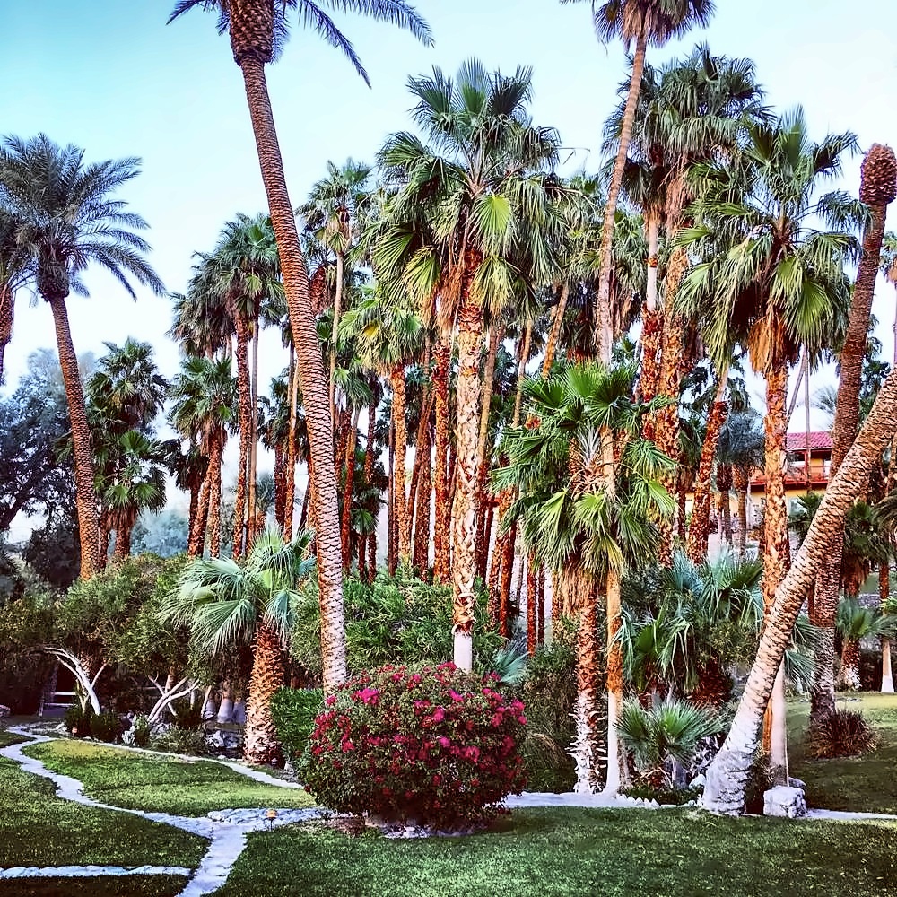 Furnace Creek