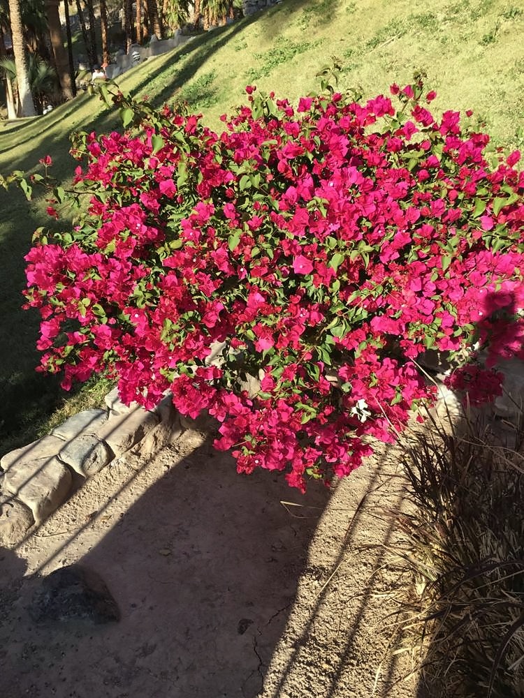 Furnace Creek