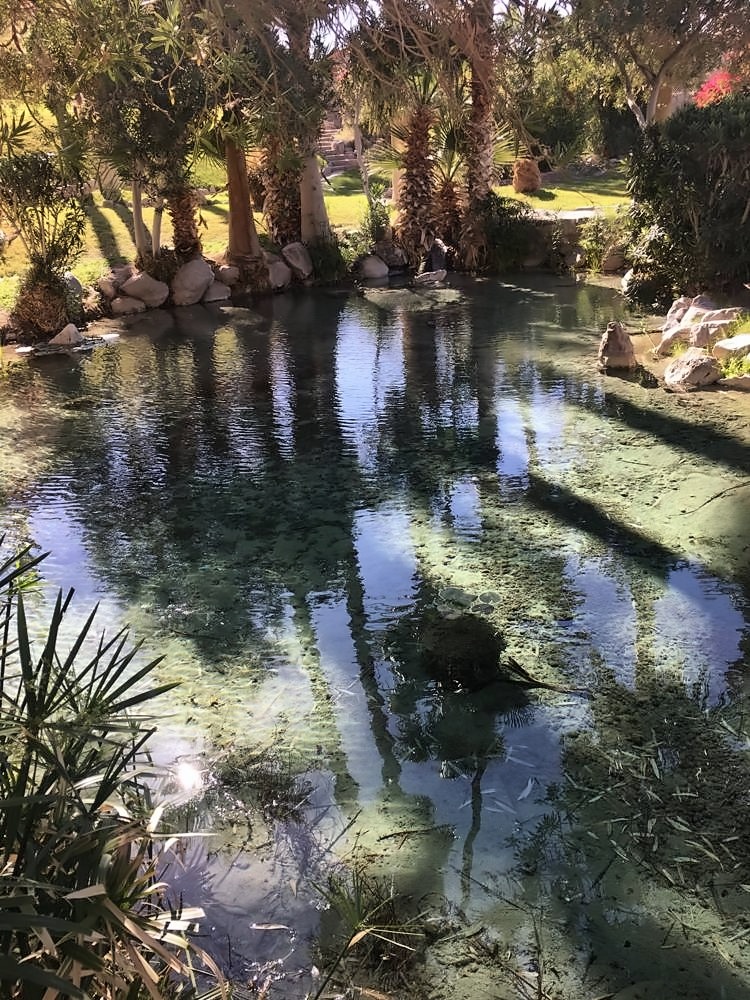 Furnace Creek