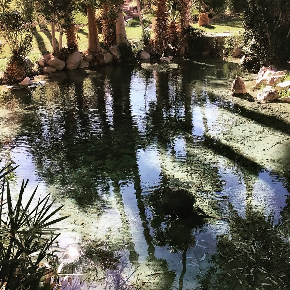 Furnace Creek