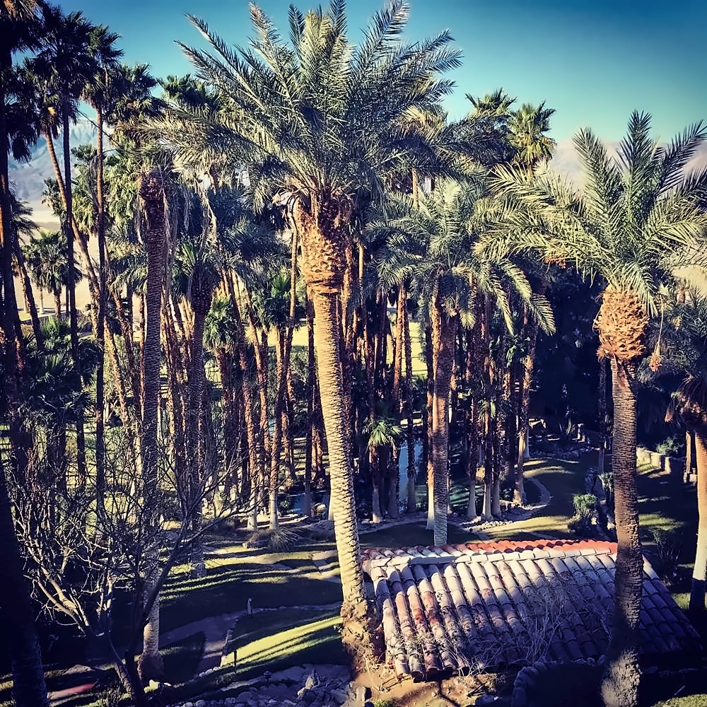 Furnace Creek