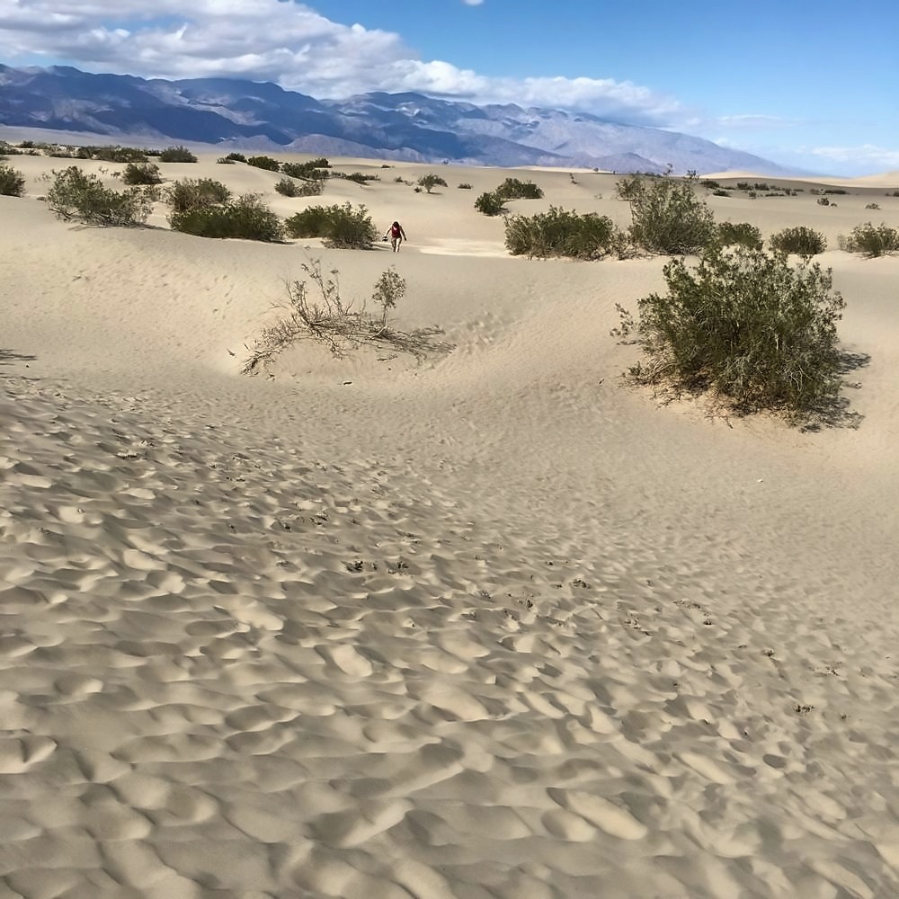 Mesquite Flat Sand Dunes