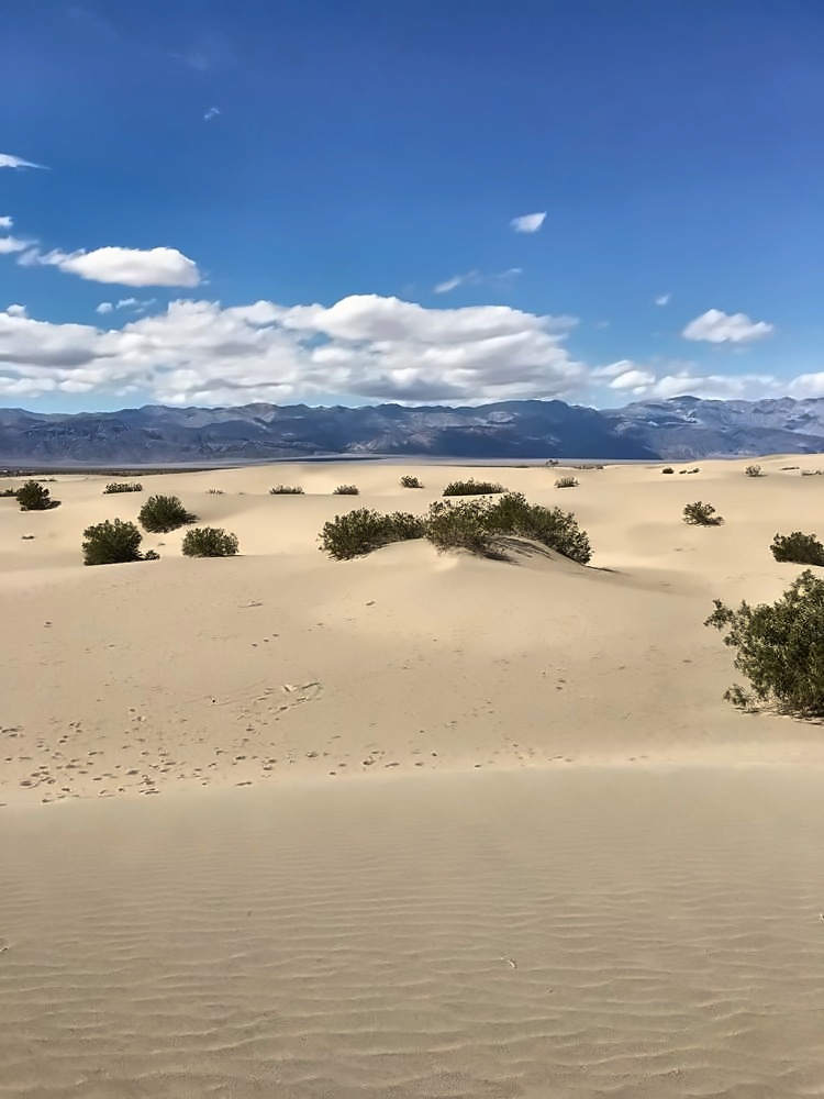 Mesquite Flat Sand Dunes
