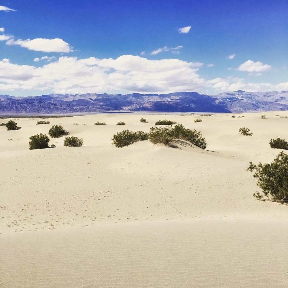 Mesquite Flat Sand Dunes