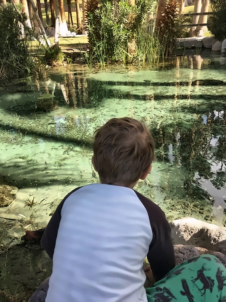 Zabriskie Point