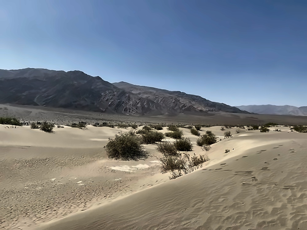 Mesquite Flat Sand Dunes