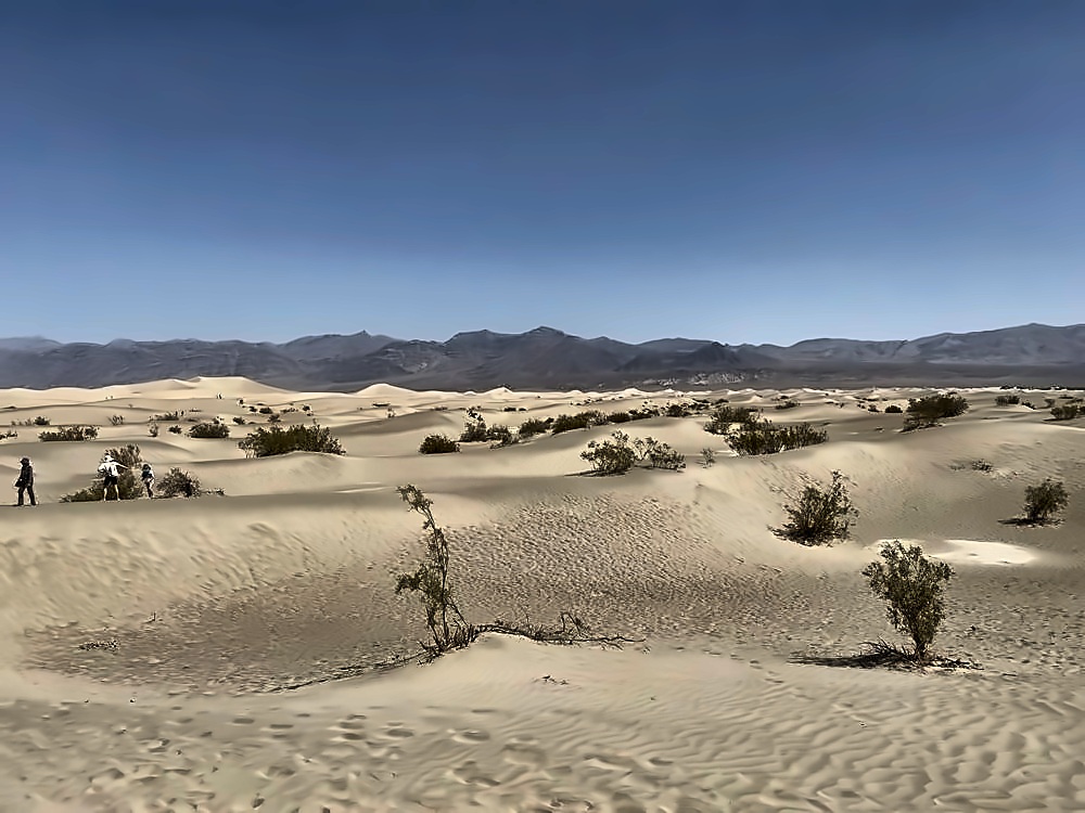 Mesquite Flat Sand Dunes
