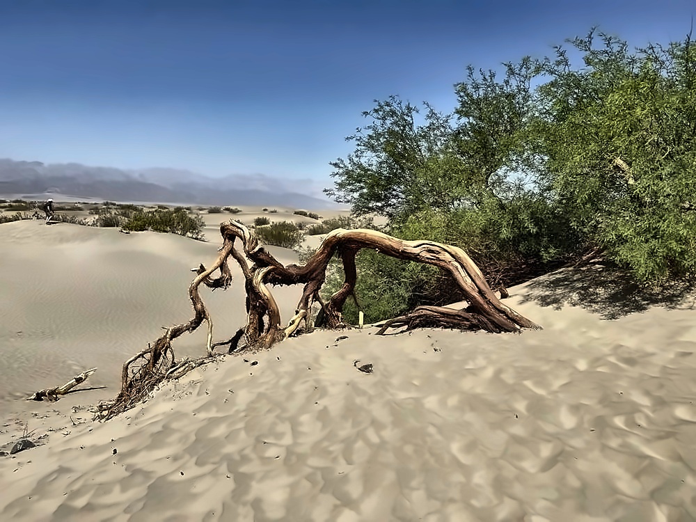 Mesquite Flat Sand Dunes