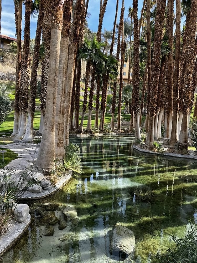Furnace Creek