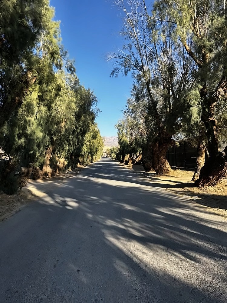 Furnace Creek