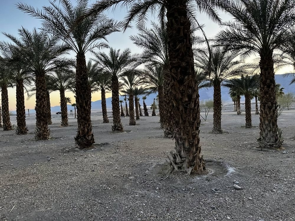 Furnace Creek