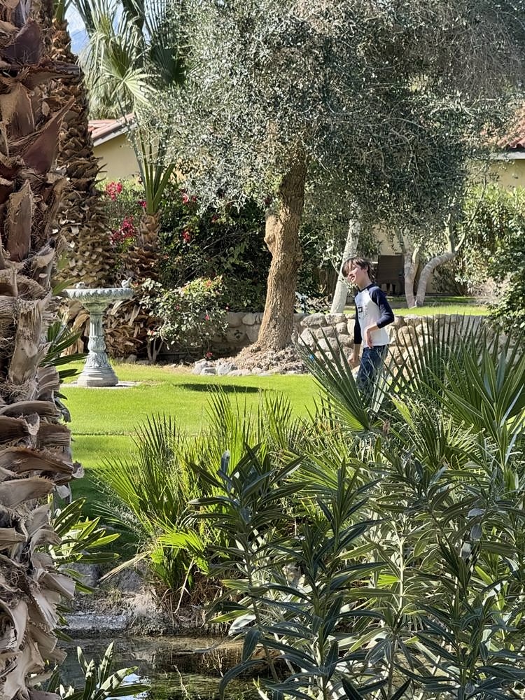 Furnace Creek
