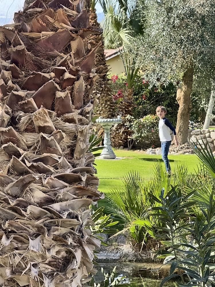 Furnace Creek