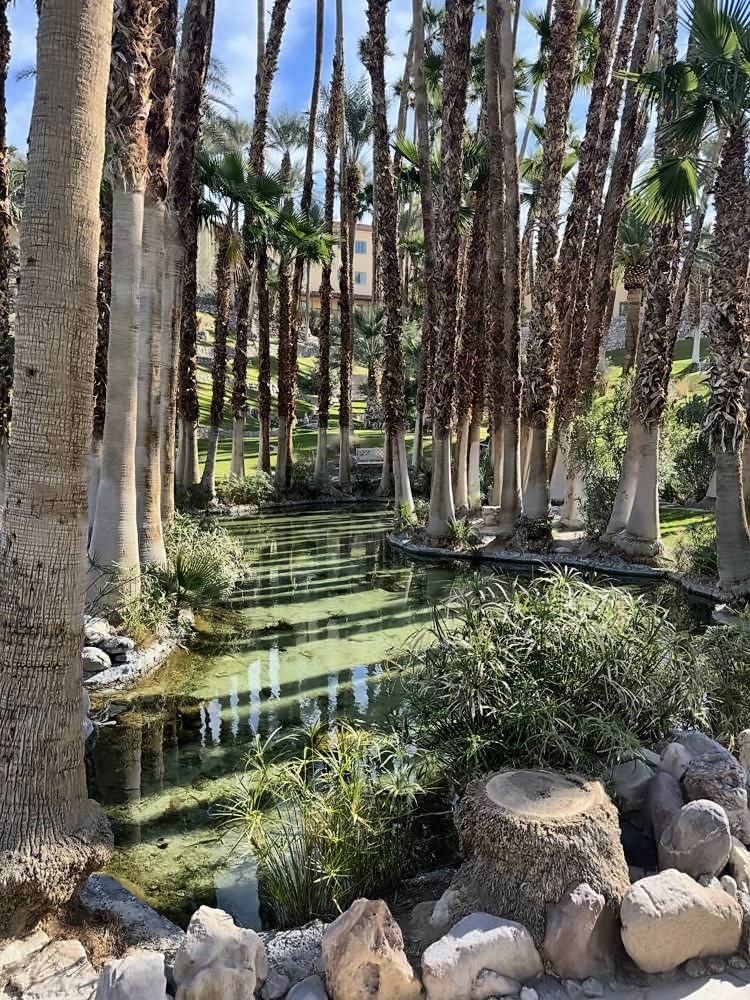 Furnace Creek