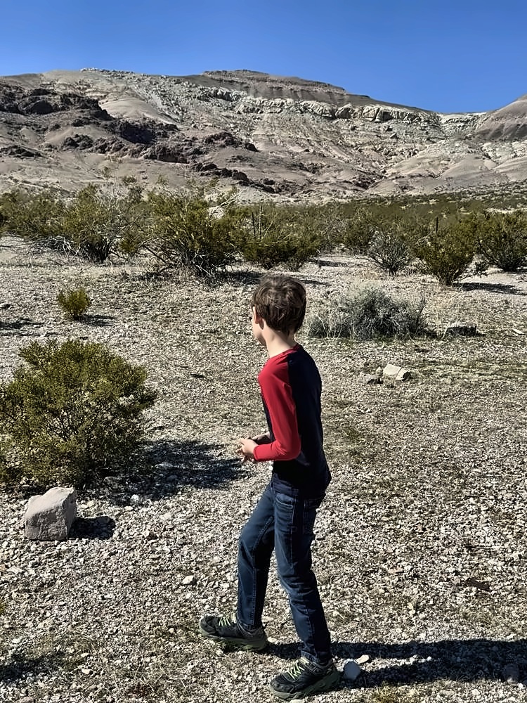 Rhyolite β my photo 70