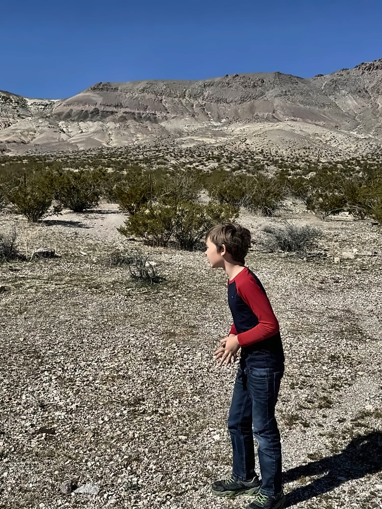 Rhyolite β my photo 63