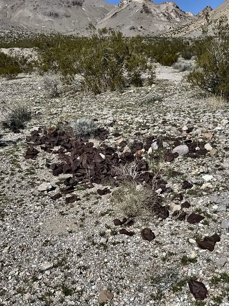 Rhyolite β my photo 96