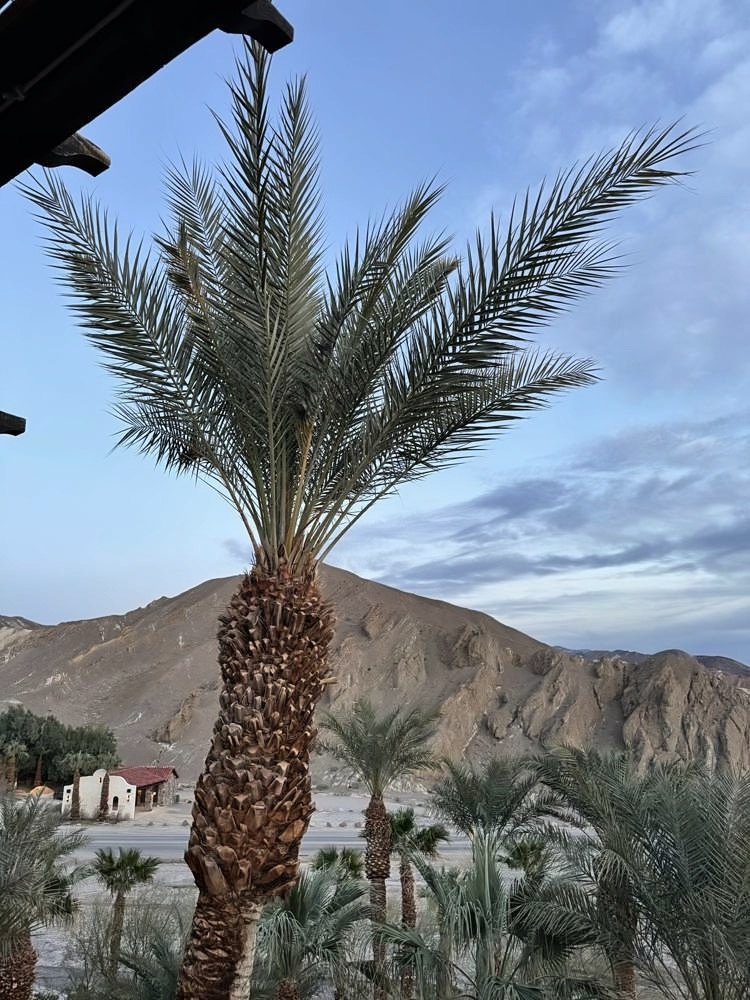 Furnace Creek