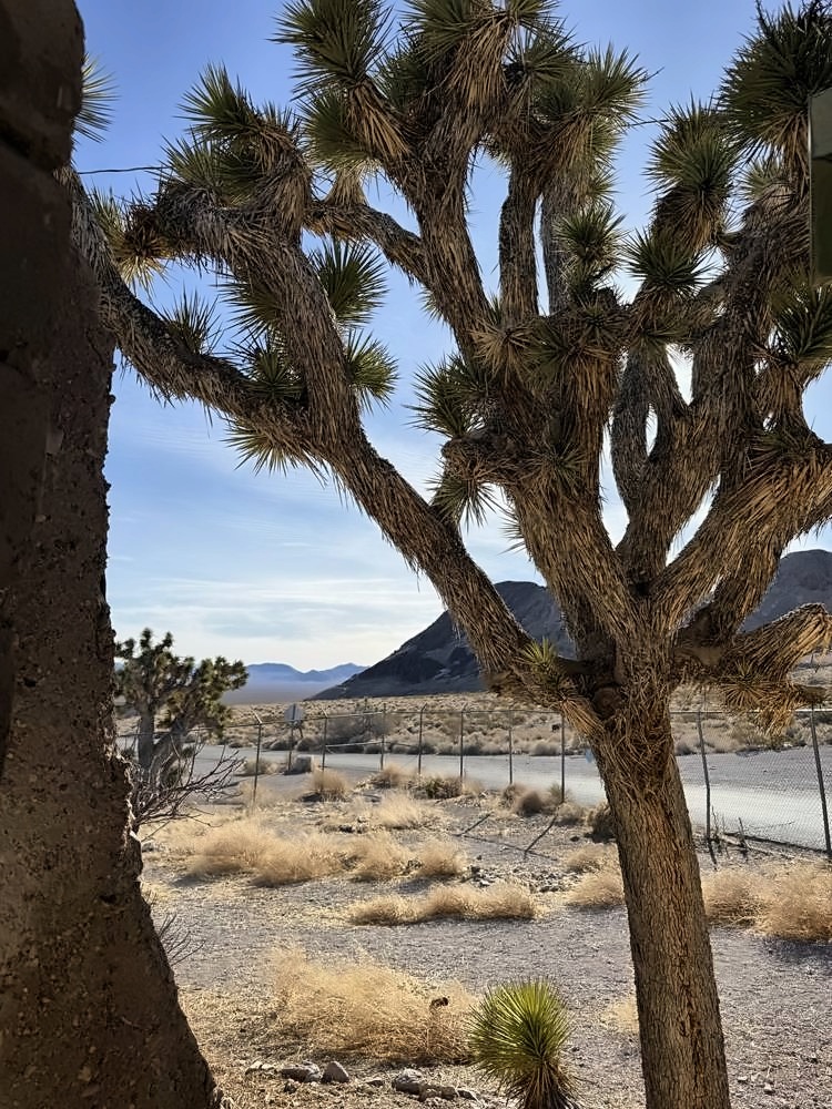 Rhyolite β my photo 77