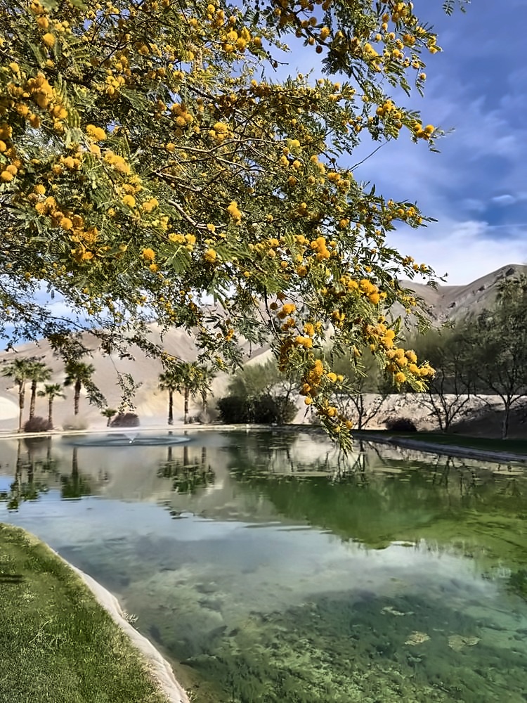 Furnace Creek