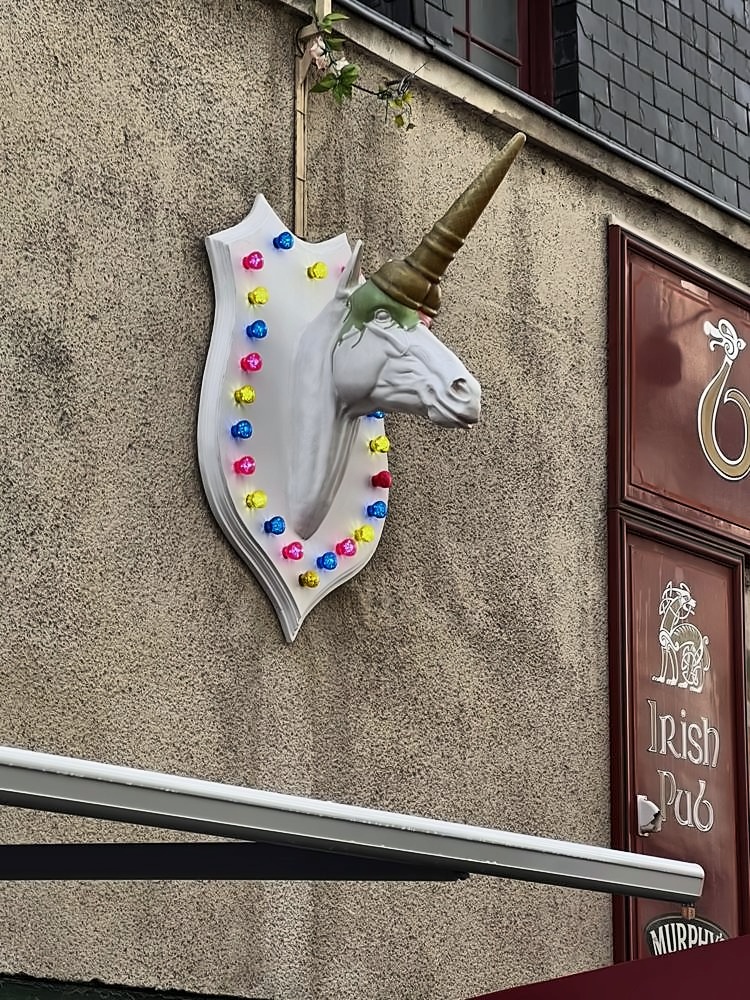 Château des ducs de Bretagne (Nantes) — my photo 100