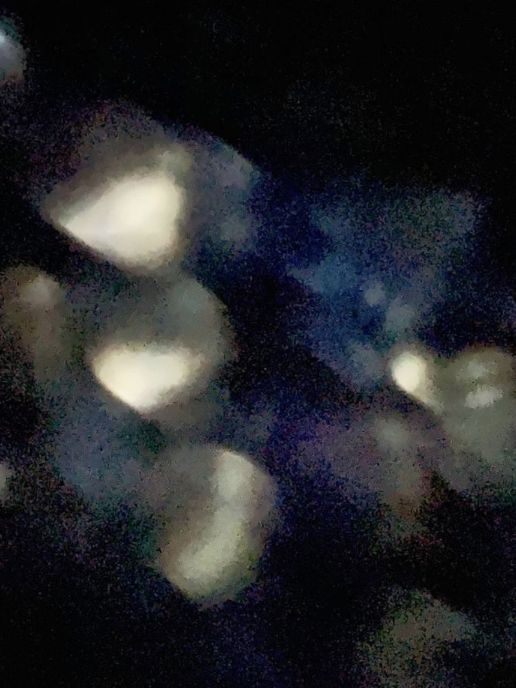 Château des ducs de Bretagne (Nantes) — my photo 103
