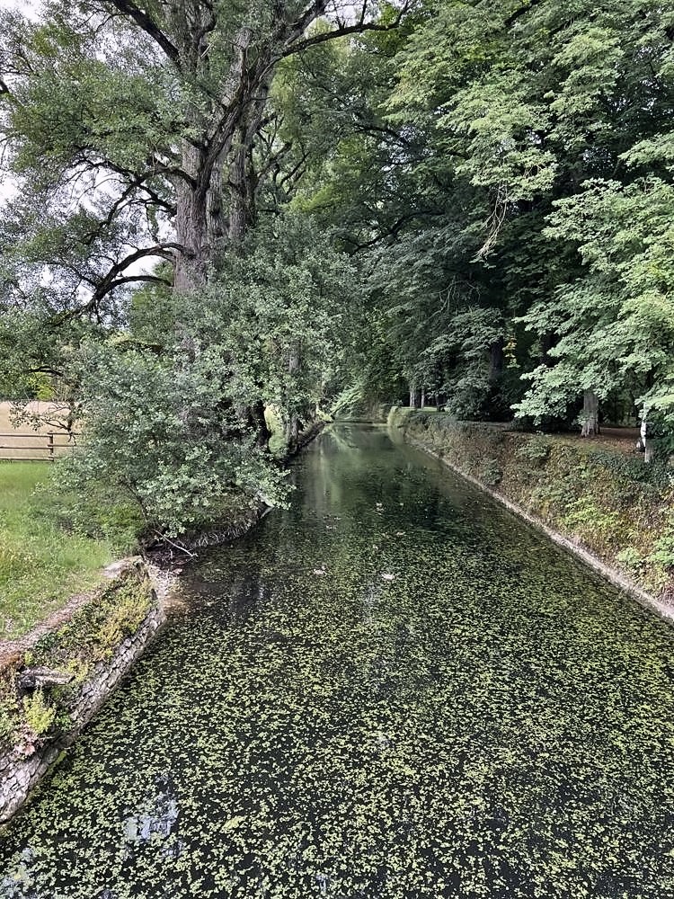 Château de Chenonceau — my photo 52